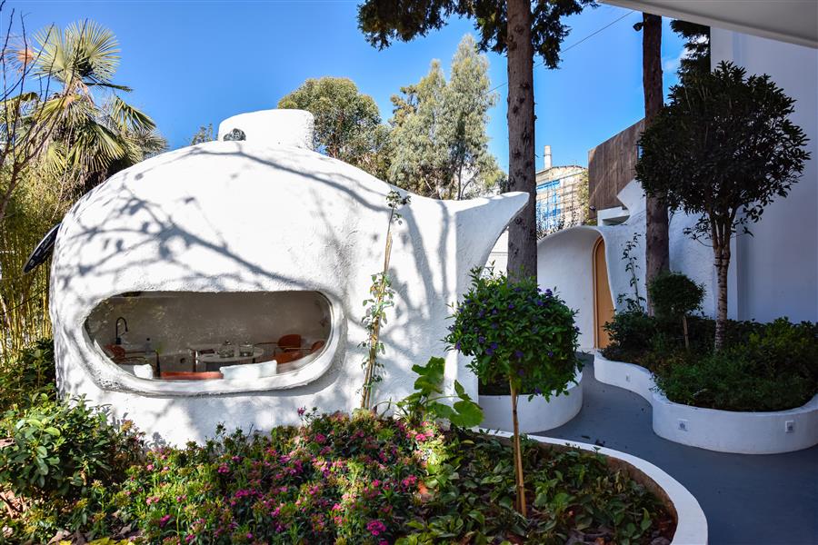 長(zhǎng)空茶語(yǔ)---長(zhǎng)空創(chuàng)作