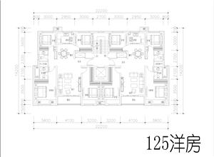 戶(hù)型-新規(guī)125洋房