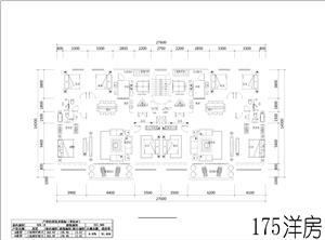 戶型-新規(guī)175洋房