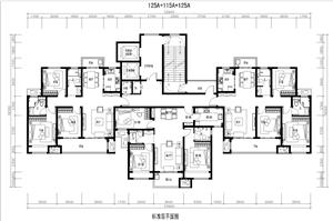 戶型-某大型開發(fā)商_標(biāo)準(zhǔn)化戶型更新匯總125A+115A+125A