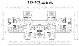 戶型-經(jīng)典T4戶型（設(shè)計(jì)師典藏）-115+103(三面寬）