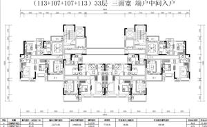 戶(hù)型-經(jīng)典T4戶(hù)型（設(shè)計(jì)師典藏）113+107+107+113-33F