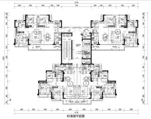 戶型-中糧T4、T6標(biāo)準(zhǔn)化戶型20190227_t8_t8